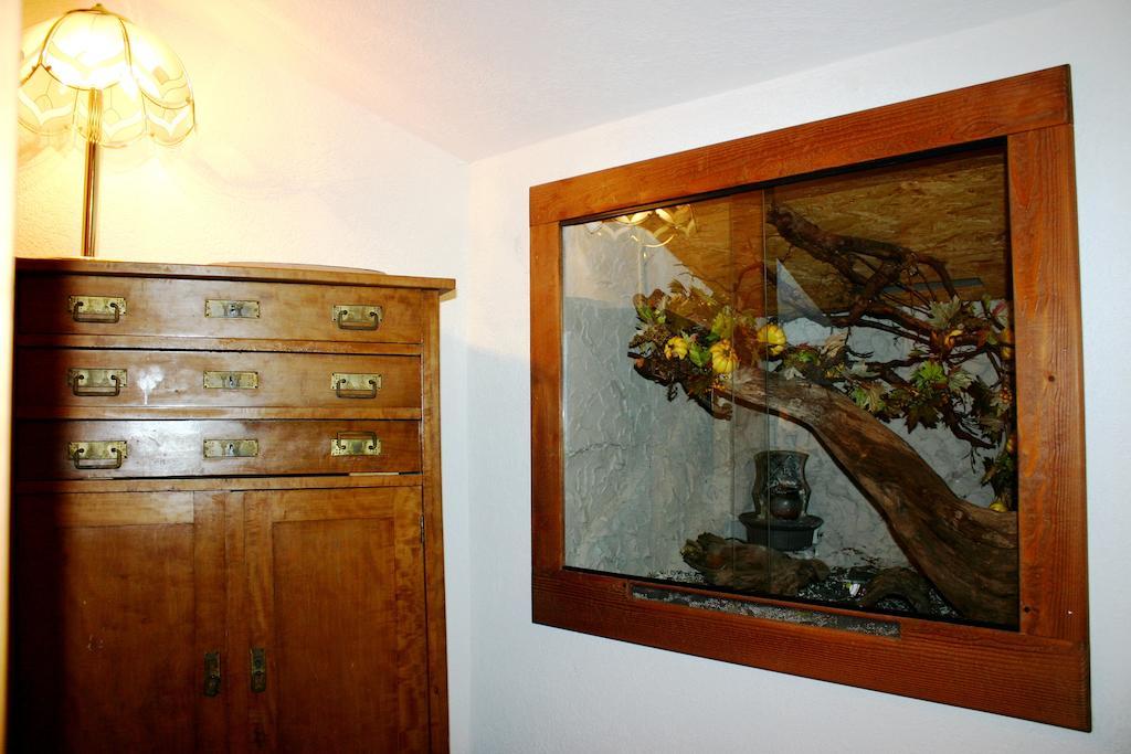 Ferienwohnung Rita บัดมิทแทร์นดอร์ฟ ภายนอก รูปภาพ